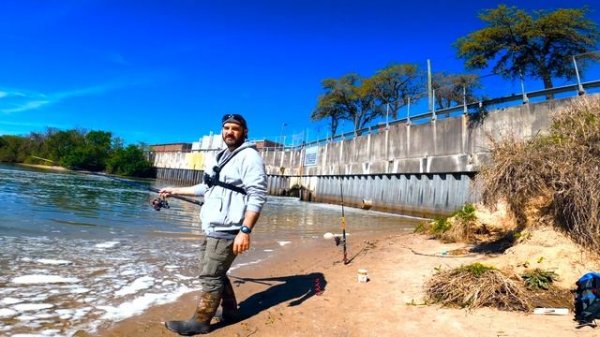 The best catfish bait, which one is it?