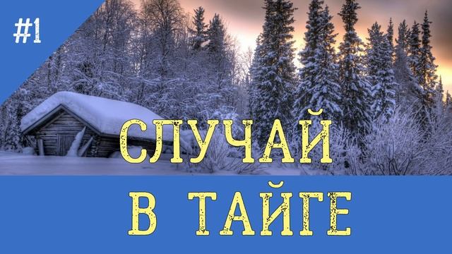 0554 - СЛУЧАЙ В ТАЙГЕ _ ВЫЖИТЬ ЗИМОЙ В СУГРОБЕ _ ВЫЖИВАНИЕ В ЛЕСУ БЕЗ ЕДЫ _ С СОБАКОЙ ЛАЙКОЙ ОХОТА смотреть онлайн