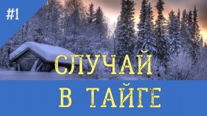 0554 - СЛУЧАЙ В ТАЙГЕ _ ВЫЖИТЬ ЗИМОЙ В СУГРОБЕ _ ВЫЖИВАНИЕ В ЛЕСУ БЕЗ ЕДЫ _ С СОБАКОЙ ЛАЙКОЙ ОХОТА