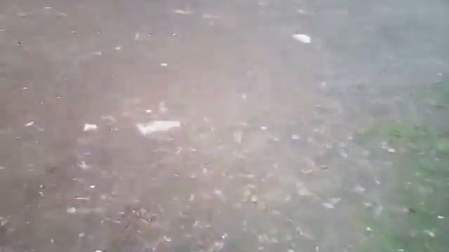 Пинаем мяч в ворота смотреть онлайн