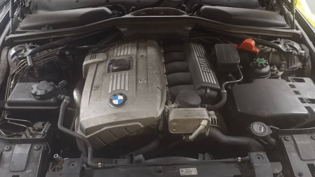 This One Trick Is The Key To A Reliable BMW !! смотреть онлайн