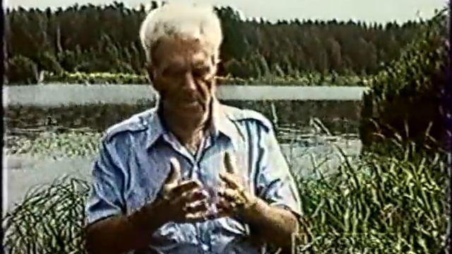 Школа будущего. Телепередачи по физике смотреть онлайн
