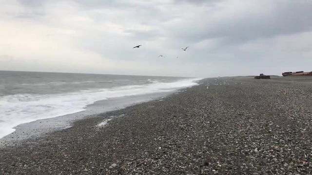 28 октября 2019 г. смотреть онлайн