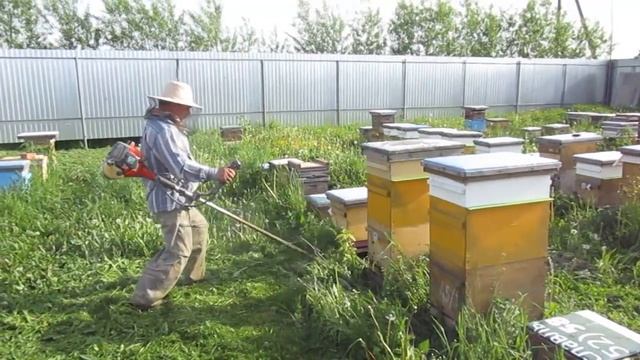 Косим пасеку смотреть онлайн