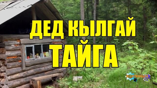 ДЕД КЫЛГАЙ _ ЖИЗНЬ В ТАЙГЕ смотреть онлайн