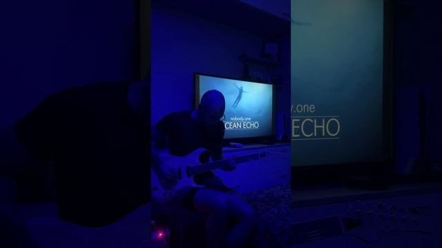 Nobody.one - Womb (Home Cover)