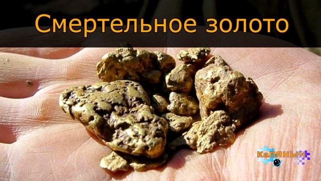 1183 - Смертельное золото _ Неразгаданная тайна смотреть онлайн