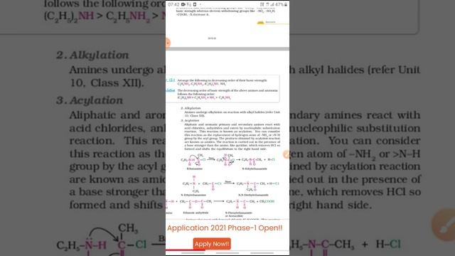 Cl12 chemistry ch13 amines part3 12 01 2021 смотреть онлайн