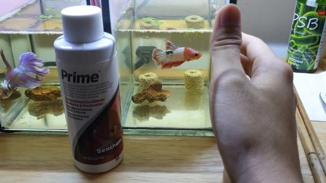 SEACHEM dung dịch khử CLO, NH3 | SEACHEM PRIME смотреть онлайн