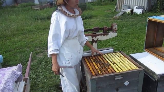 Снимаем мед 2018 г. Собираем гнездо в зиму. смотреть онлайн