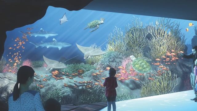 What’s Next: Galápagos Islands at the Houston Zoo: Episode 3 смотреть онлайн