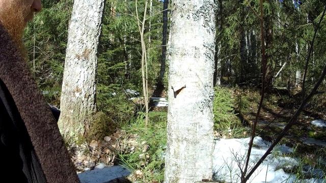 Kid-Approved Recipes