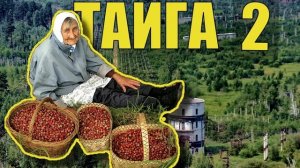 МЕДВЕДЬ НЕОЖИДАННАЯ ВСТРЕЧА СУДЬБА СОЛДАТ и БАБКА на ТРОПЕ ЖИЗНЬ в ТАЙГЕ ПУРГА ДОЙТИ до