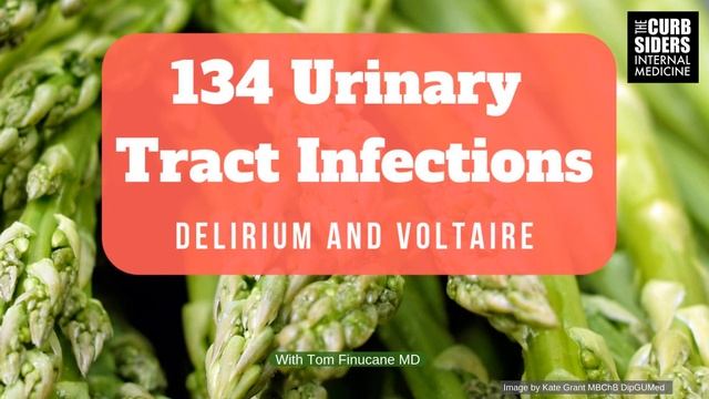 #134 Urinary Tract Infections Delirium and Voltaire смотреть онлайн