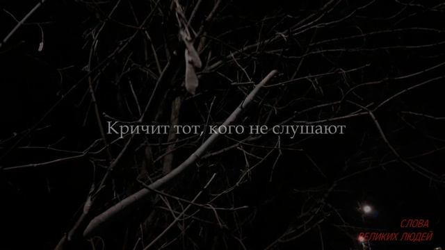 Дерзкие, Но Очень Полезные Цитаты, которые нужно помнить всегда! смотреть онлайн