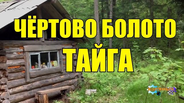 БАБУШКИ ЗАБЛУДИЛИСЬ В ЛЕСУ _ КЛЮКВА НА БОЛОТЕ _ ЧЁРТОВ УГОЛ смотреть онлайн