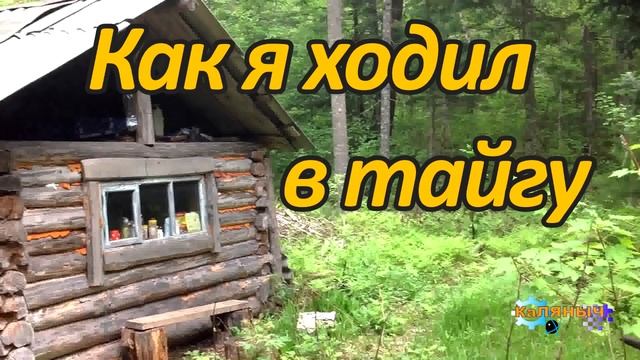 Как я ходил в тайгу смотреть онлайн
