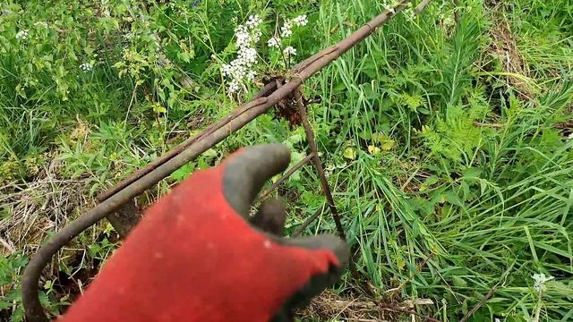 Нашел небитое место!!! Находки бомбические!!! Слитки, борона,огромный колосник и ТД. смотреть онлайн