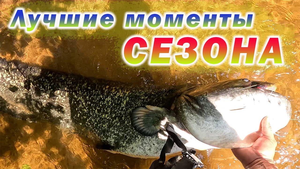 ИТОГИ СЕЗОНА ПОДВОДНОЙ ОХОТЫ И СПИННИНГОВОЙ РЫБАЛКИ 2024!!! смотреть онлайн