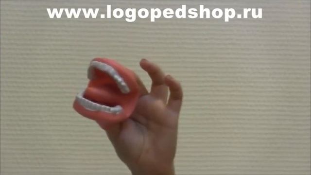 Муляж артикуляционного аппарата logopedshop смотреть онлайн