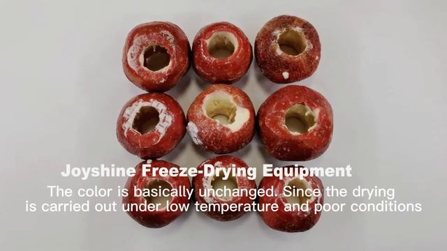 Industrial Fruit Vacuum Freeze Drying Equipment Liofilizador Lyophilization Machine Price смотреть онлайн