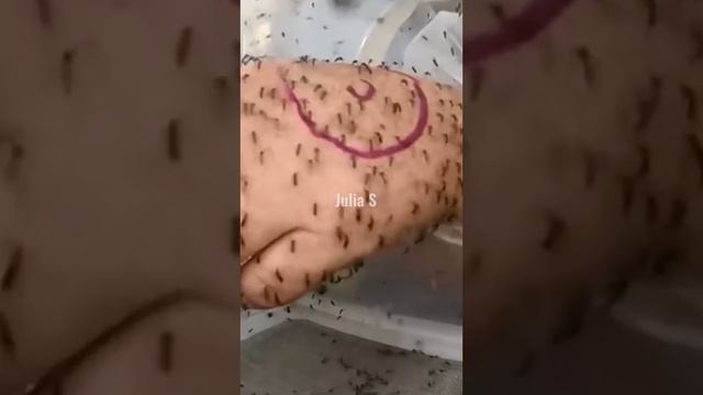 ДАЖЕ САМЫЙ УМНЫЙ НЕ СМОЖЕТ РАЗГАДАТЬ ЭТИ ЗАГАДКИ смотреть онлайн