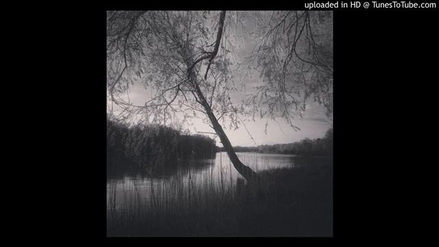 s.h.o.k.k. -villa flora (extended_mix) смотреть онлайн