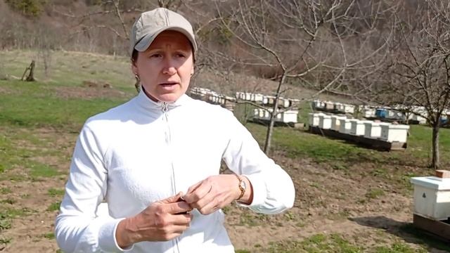 Чем поить пчел весной (15.04.2021) смотреть онлайн
