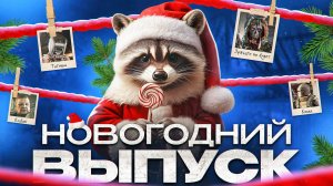 Крошка Енот - Новогодний выпуск!