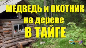 0994 - МЕДВЕДЬ ЗАГНАЛ ОХОТНИКА НА ДЕРЕВО _ СЛУЧАЙ В ТАЙГЕ