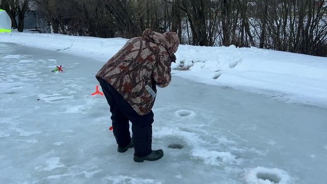 Половили в 2024 году