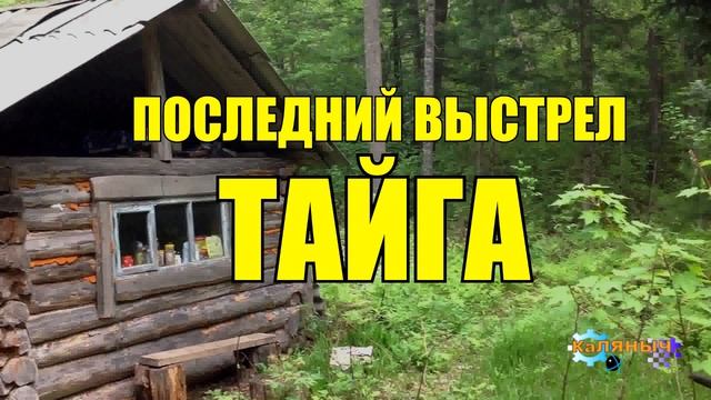 0863 - НА СОБОЛЯ С ЛАЙКОЙ _ УКРАЛИ СОБАКУ _ ЖИЗНЬ В ТАЙГЕ смотреть онлайн
