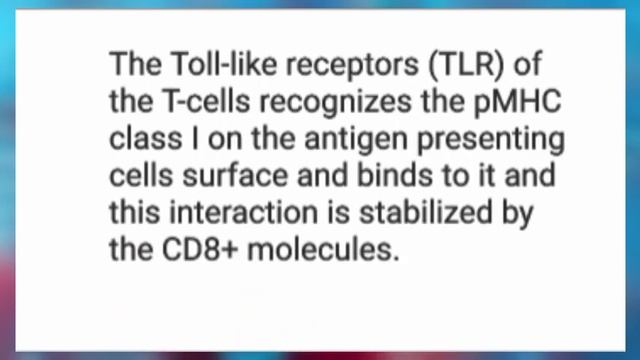 Antigen Presentation in less than 5 minutes || Antigen Presenting Cells || MHC classes смотреть онлайн