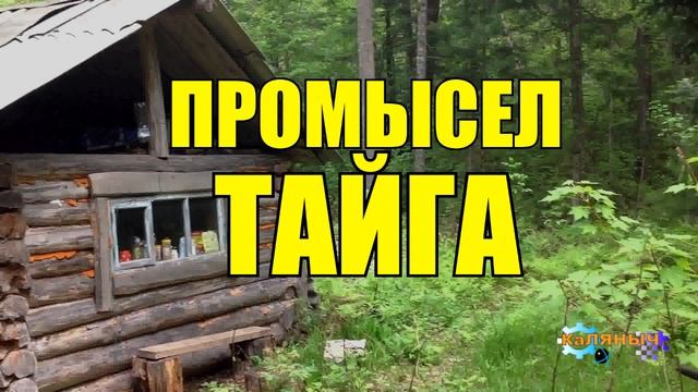 0856 - ПРОМЫСЕЛ _ ТАЙГА _ ОХОТНИК НА СОБОЛЯ _ НАРЫВ ПЯТОЙ ТОЧКИ 18 + смотреть онлайн