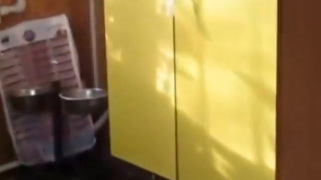 Ротвейлер готовится к празднику смотреть онлайн