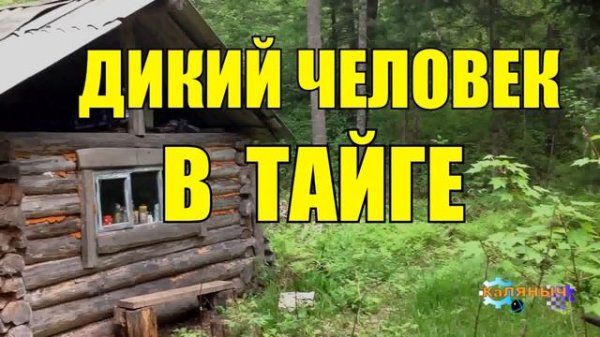 ОДИНОКИЙ ОТШЕЛЬНИК В ТАЙГЕ