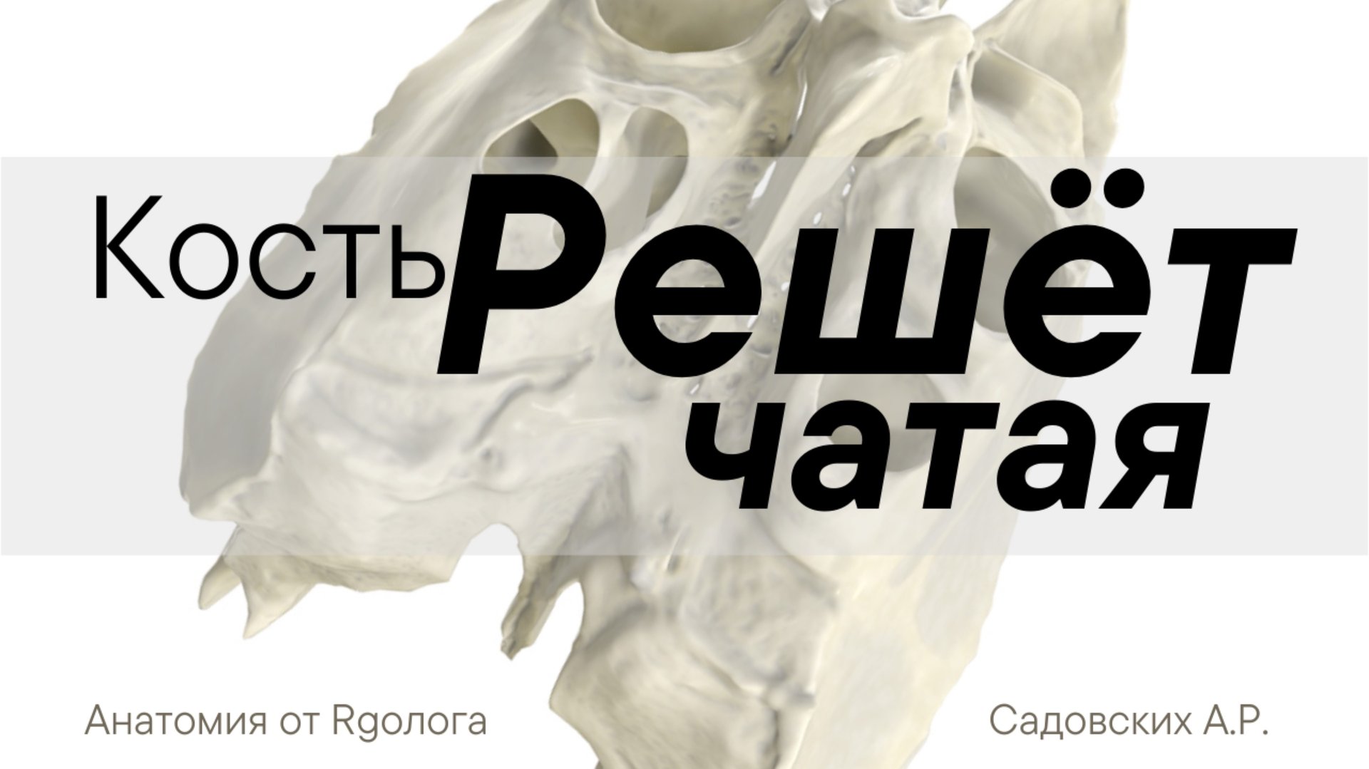 Решетчатая кость смотреть онлайн