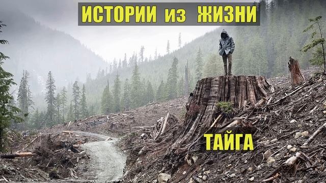 СТРАШНЫЕ ИСТОРИИ из ЖИЗНИ ДОМОВОЙ ЛЕСНИК ОТШЕЛЬНИК СУДЬБА 40 ЛЕТ в ТАЙГЕ ЖИЗНЬ в ЛЕСУ ОХОТА РЫБАЛКА смотреть онлайн