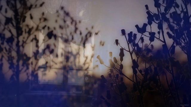 "Баллада о рубахе". Из коллекции "Поэты-звёзды" смотреть онлайн