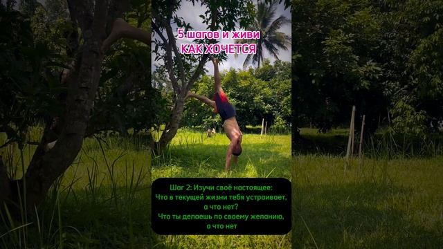 5 шагов к своей родной и любимой жизни! смотреть онлайн