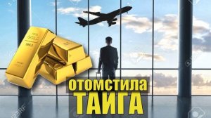 ОТНОШЕНИЯ ЗОЛОТО РАБОТА на ДРАГЕ ЖИЗНЬ в ТАЙГЕ СУДЬБА ЧЕЛОВЕКА НАХОДКА САМОРОДОК ИСТОРИИ из Ж