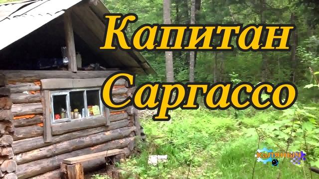 1156 - КАПИТАН САРГАССО смотреть онлайн