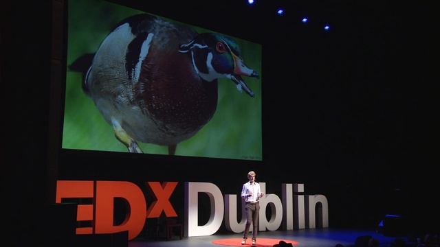 Sharing Science Through Story: Fergus McAuliffe At TEDxDublin