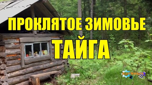 0230 - ПРОКЛЯТАЯ ИЗБУШКА _ ЗИМОВЬЕ В ТАЙГЕ смотреть онлайн