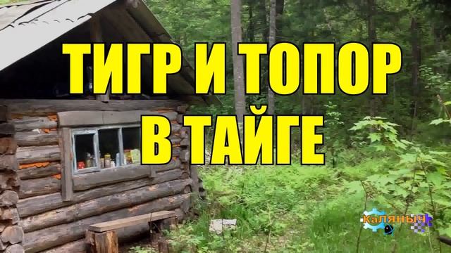 0918 - ТИГР НАПАЛ НА ЧЕЛОВЕКА _ ЖИЗНЬ В ТАЙГЕ смотреть онлайн