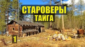 СТАРОВЕРЫ ВСЕ СЕРИИ ОТШЕЛЬНИКИ ДЕРЕВНЯ СТРАШНЫЕ ИСТОРИИ из ЖИЗНИ СТАРООБРЯДЦЫ СУДЬБА в ТАЙГЕ в ЛЕСУ