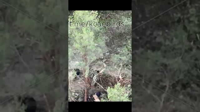 ⚡️СВО 18+ Военнослужащие ВСУ разбираются с последствиям прилётов смотреть онлайн