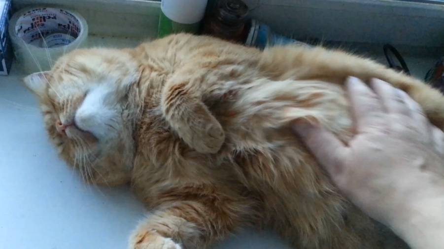 Мур-мур. Часть 2 смотреть онлайн