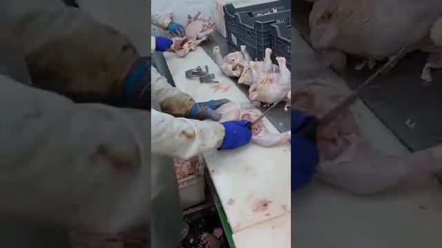 обвалка курки смотреть онлайн