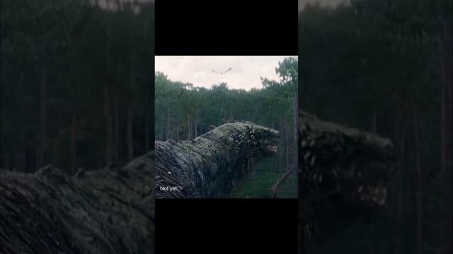 Vermithor looks so old.House of the Dragon смотреть онлайн